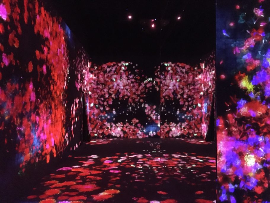 TeamLab_Forest of Flowers and People