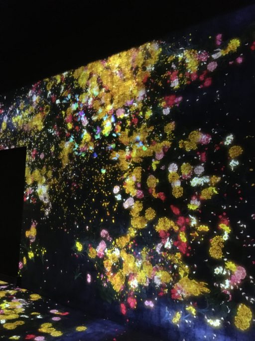 TeamLab_Forest of Flowers and People2