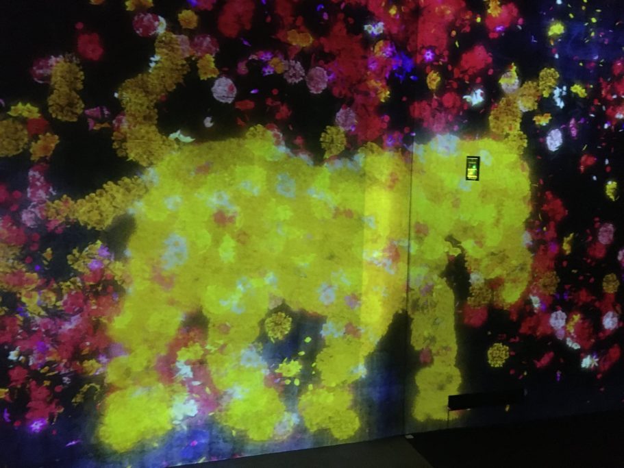 TeamLab_animal