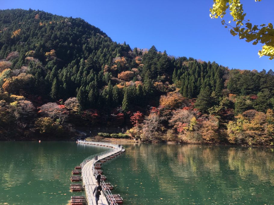 留浦（とずら）浮橋