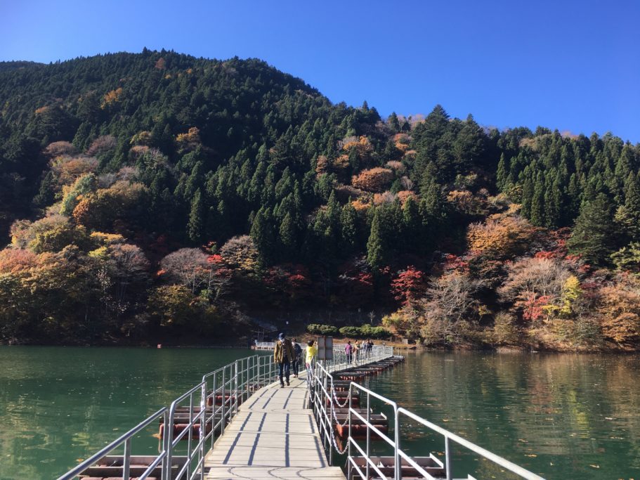 留浦浮橋　橋の上