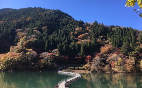 留浦（とずら）浮橋