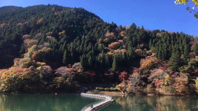 留浦（とずら）浮橋