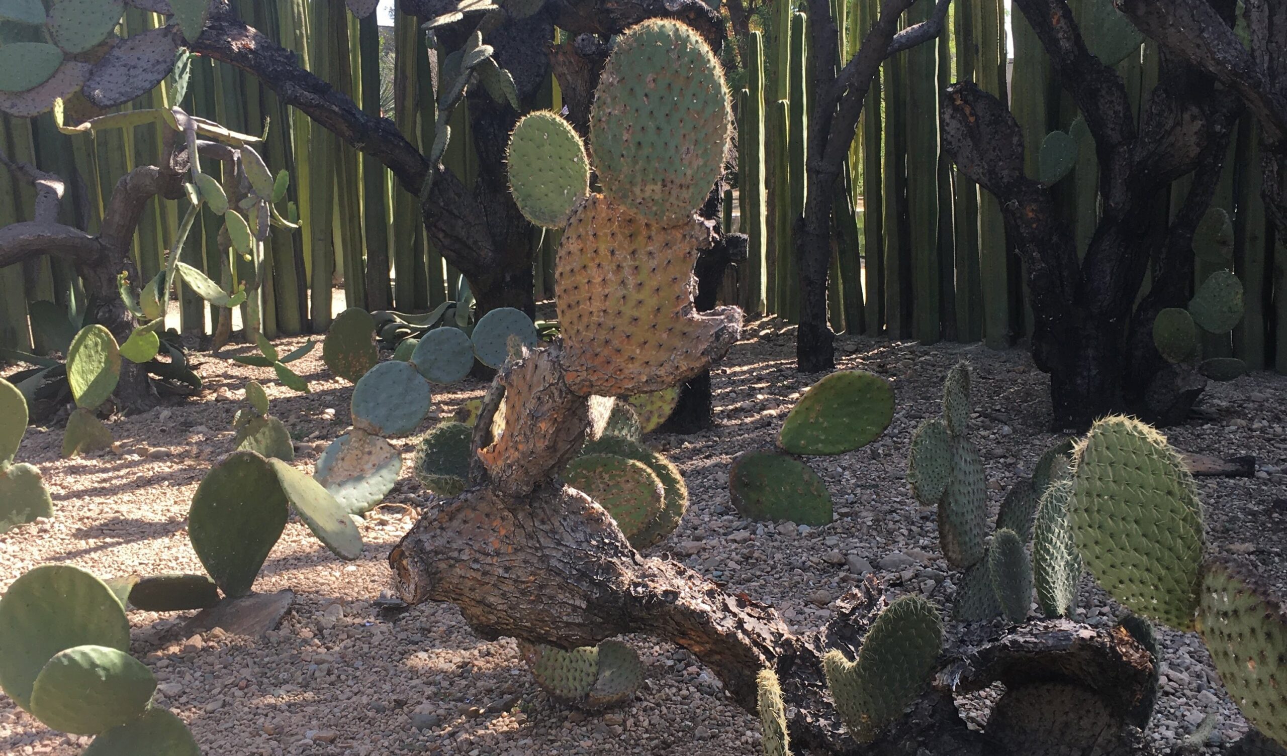 RitaCafeプロフィールページのアイキャッチ、46歳で出産したママのブログ